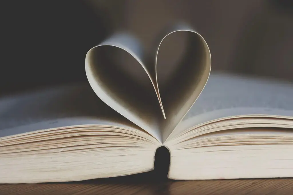book, love, heard, open book, paperback, novel, reading, knowledge, library, book, book, book, reading, reading, knowledge, library, library, library, library, library
