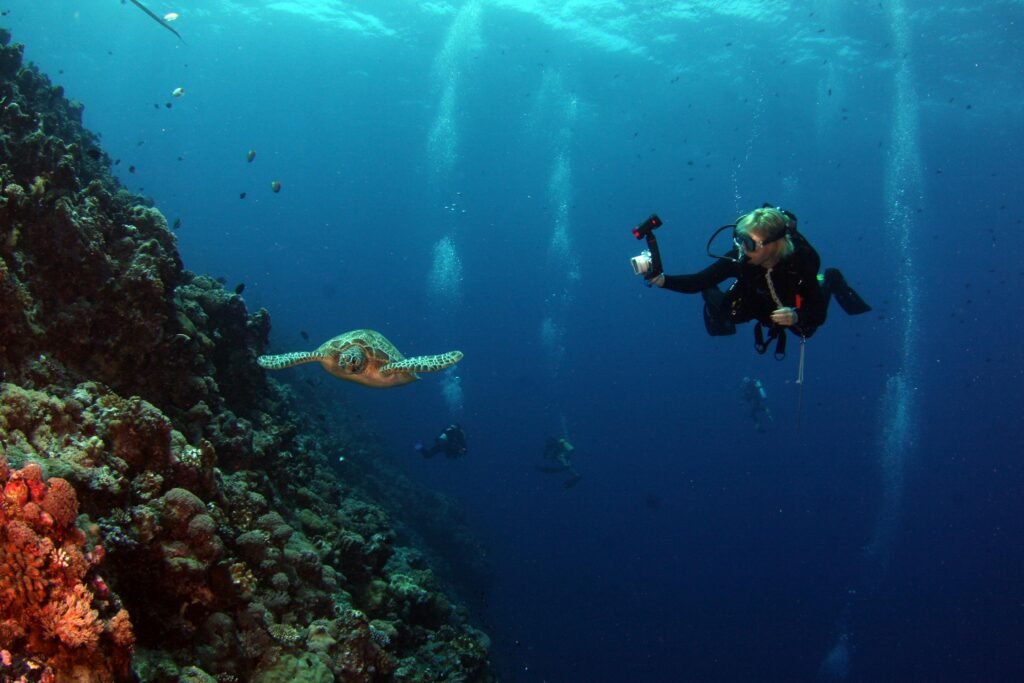 Top 10 Gifts for Tech-Loving Dads (2025 Edition) Scuba diver photographing a sea turtle near a coral reef in clear blue water.